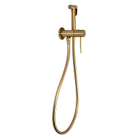 Гигиенический душ со смесителем AVS Slimmer брашированное золото